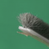 Ultra Fin Adhesive Back Weatherstripping - Image 2